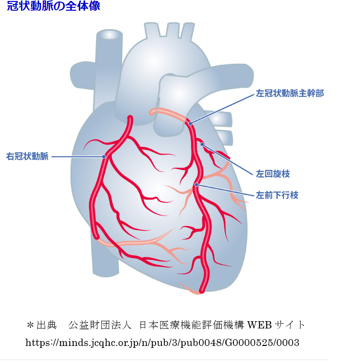 心臓系疾患につながる