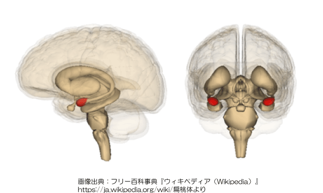 赤面症とは