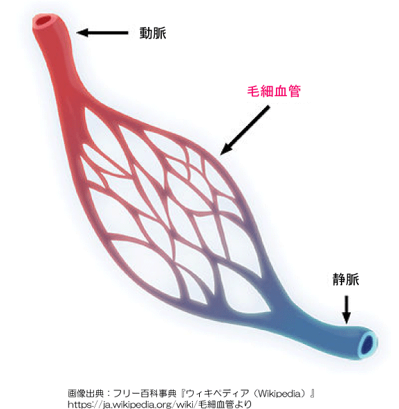 赤面症 なぜ 赤面症 なぜ
