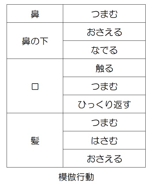 ミラーリングのやり方