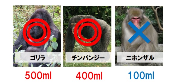 自我と脳量