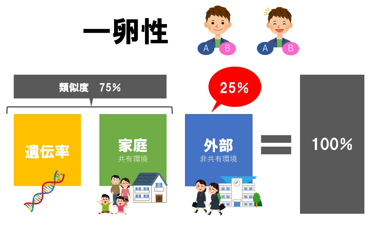 一卵性双生児の計算方法