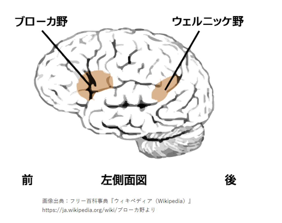 意味 シンパシー