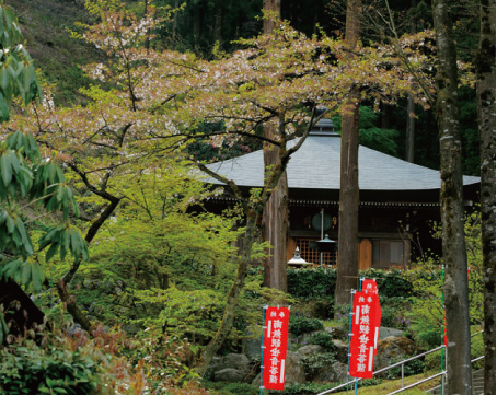 岩井堂(西武鉄道HPより)