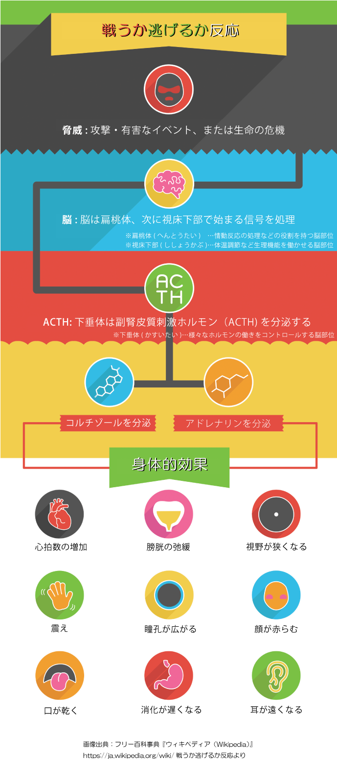 戦うか逃げるか反応　メカニズム