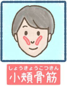 笑顔の種類
