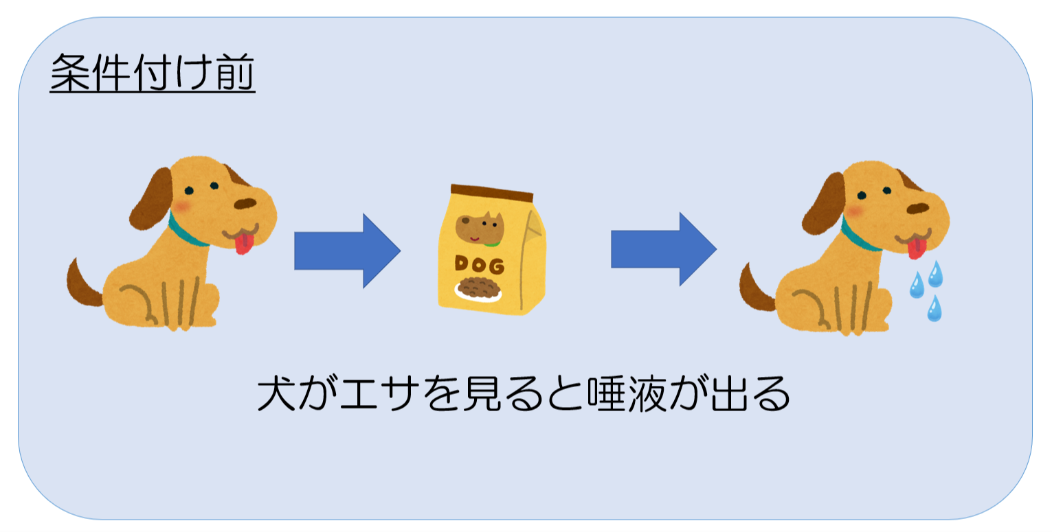 古典的条件づけの意味とは ダイコミュ用語集