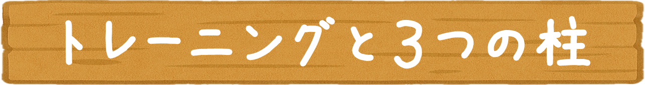 トレーニングと3つの柱