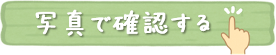 写真で確認する